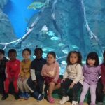 Segundo de infantil visita el acuario de Zaragoza.