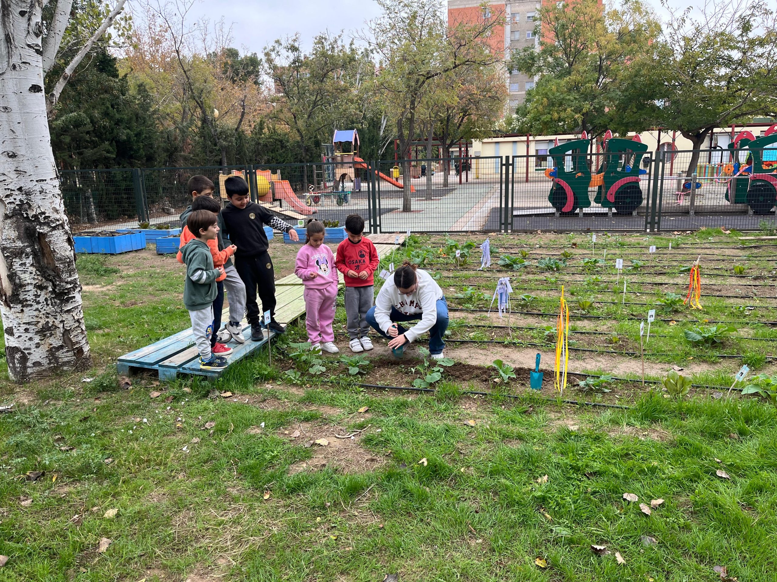 Primero de primaria de siembra.