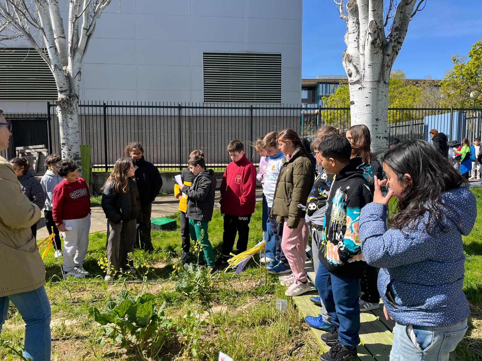 Hermanamiento de huertos escolares.