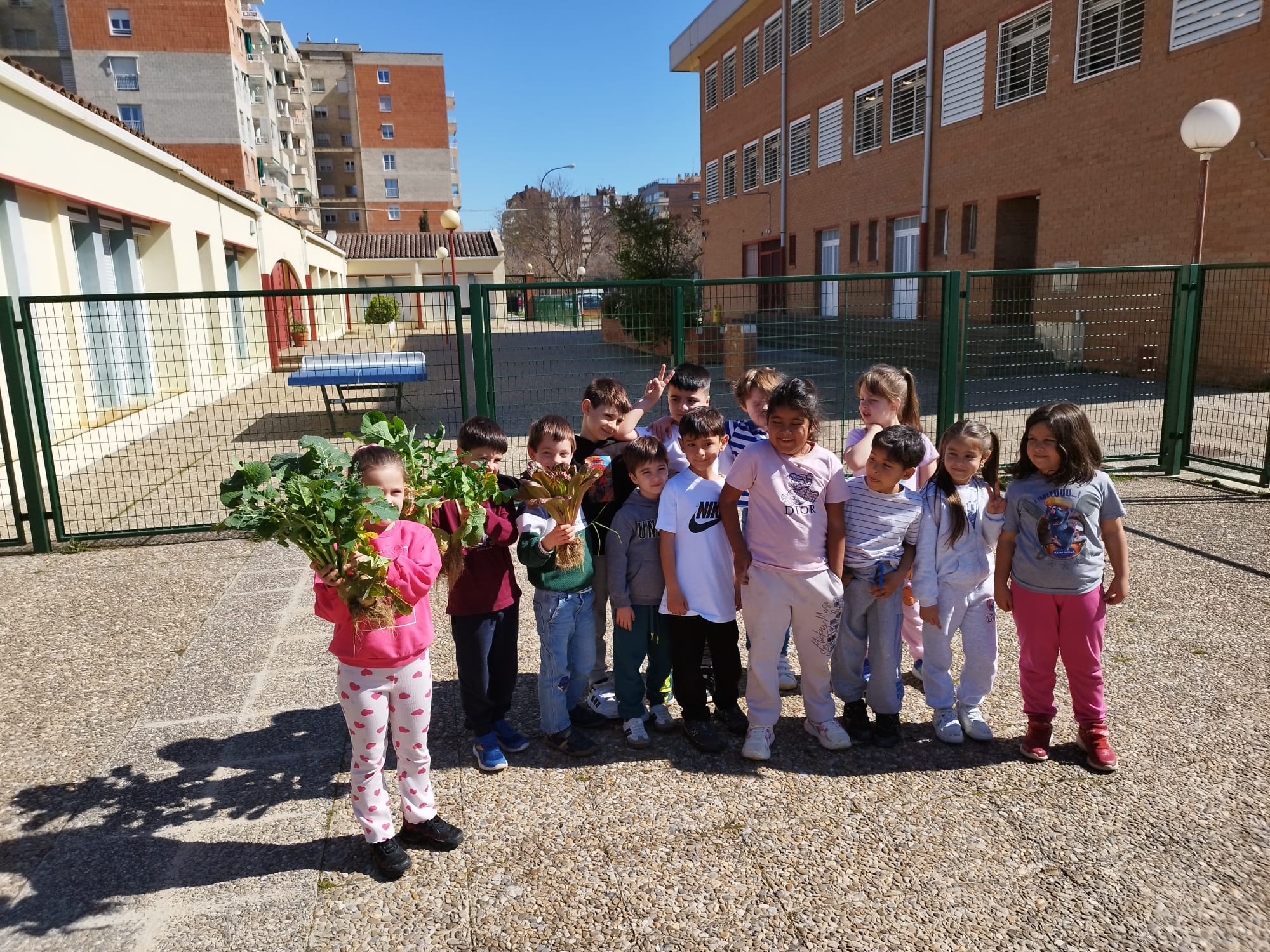 Primero de primaria en nuestro huerto escolar.